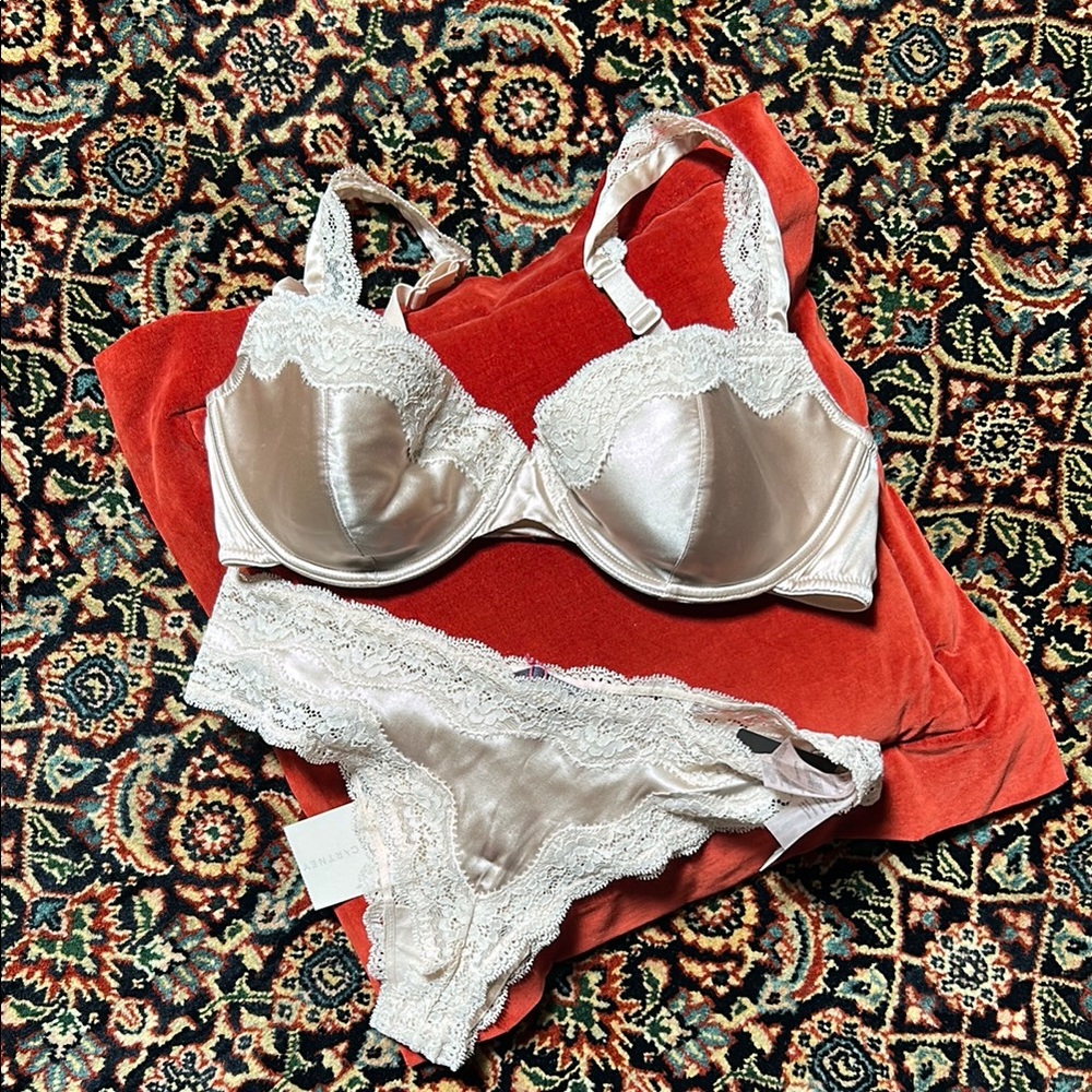 Stella McCartney Pale Pink Cream silk Bra 36C and Panty M set